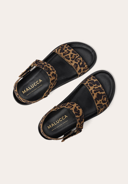 Malucca M5013 Leopard
