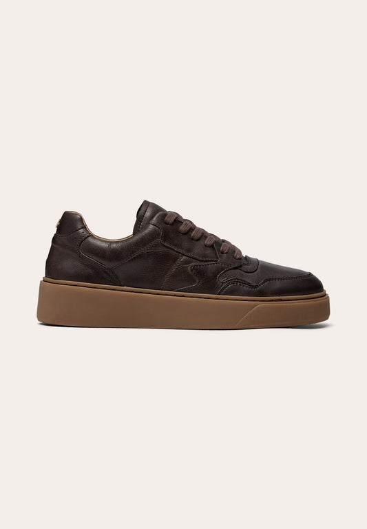 Malucca Sportive Brown