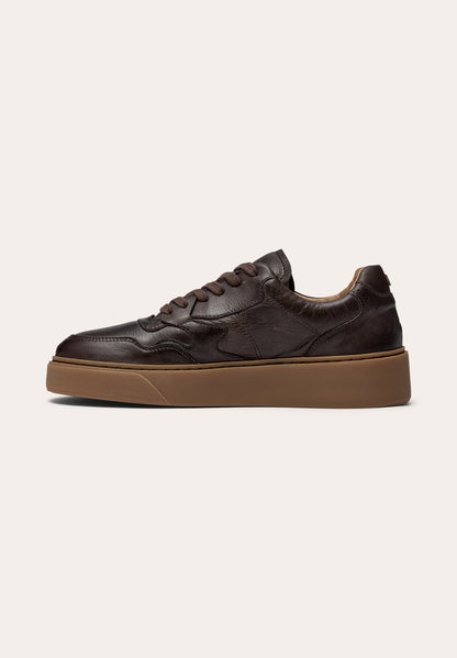 Malucca Sportive Brown