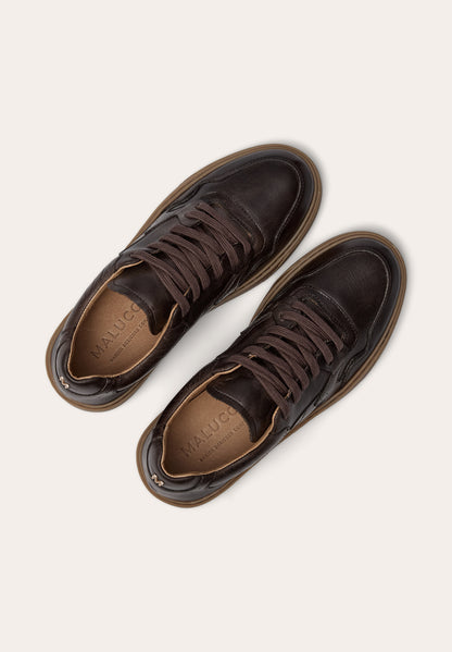 Malucca Sportive Brown