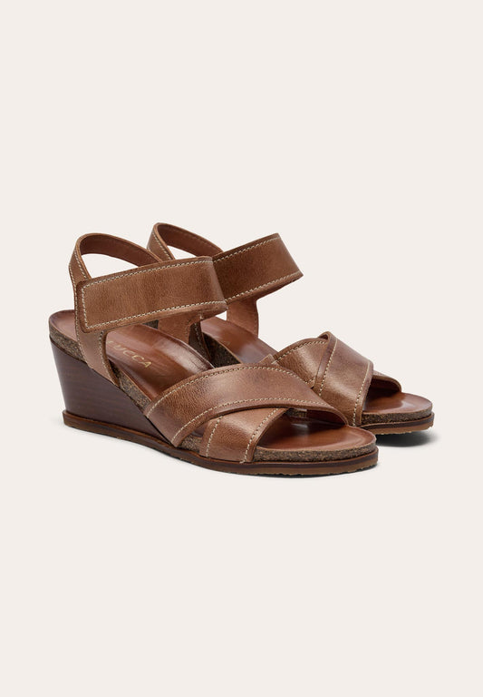 Malucca Menalon Camel