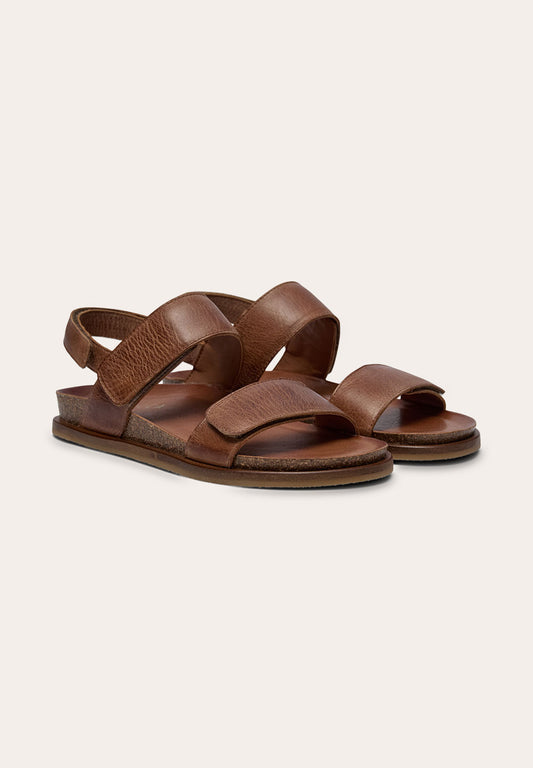 Malucca Highland Camel