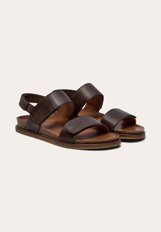 Malucca Highland Brown